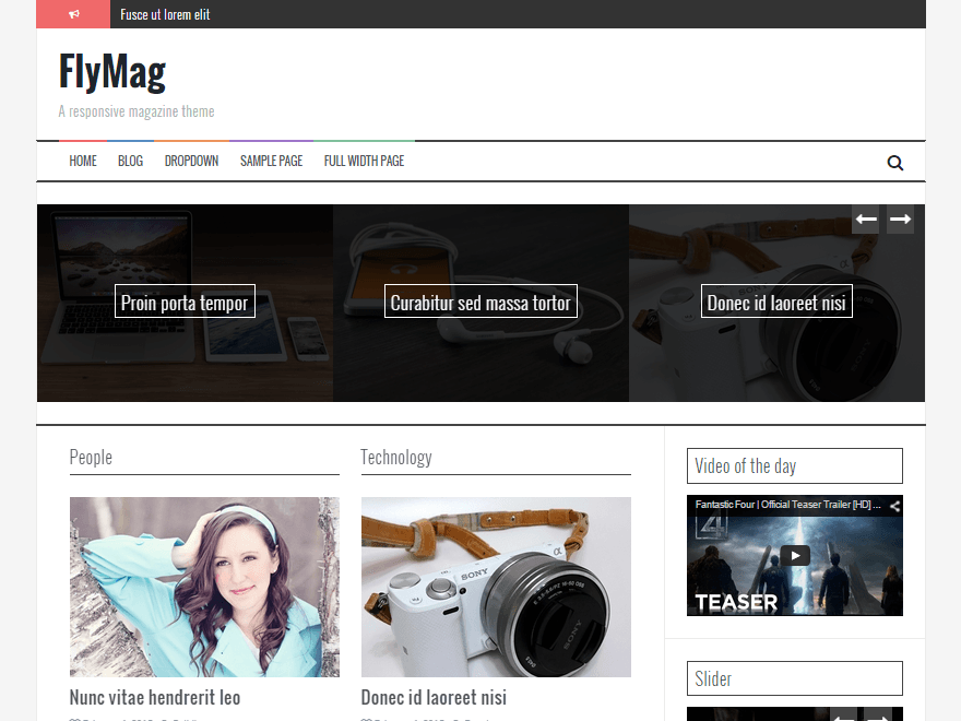 FlyMag website example screenshot