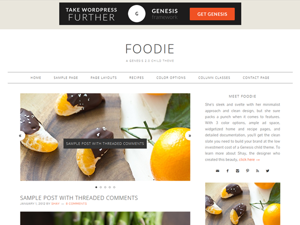 foodie-2 WordPress theme, websites list used foodie-2 theme foodie-2 theme websites examples