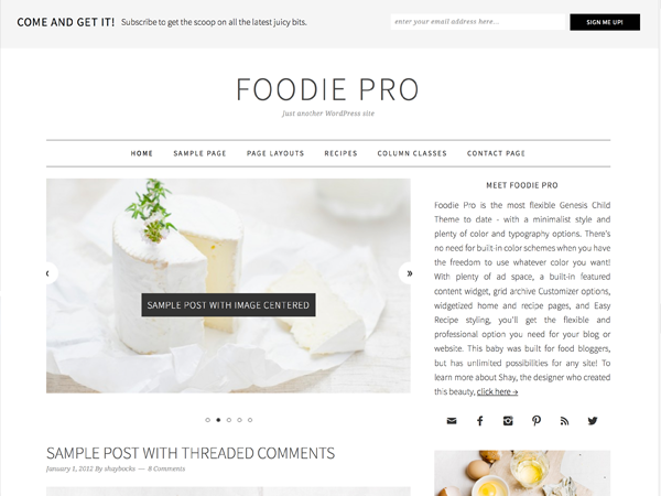 foodiepro-2.1.7 theme websites examples