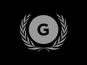 GA theme websites examples