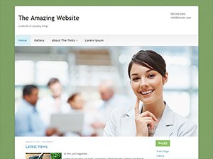 gdmedical WordPress theme, websites list used gdmedical theme gdmedical theme websites examples