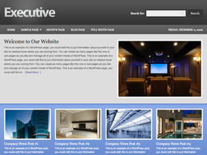 genesis-child WordPress theme, websites list used genesis-child theme genesis-child theme websites examples