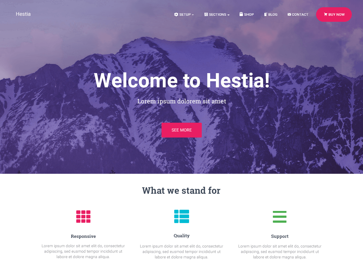 Hestia website example screenshot