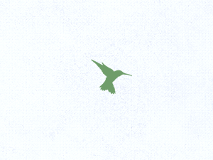 Hover theme websites examples