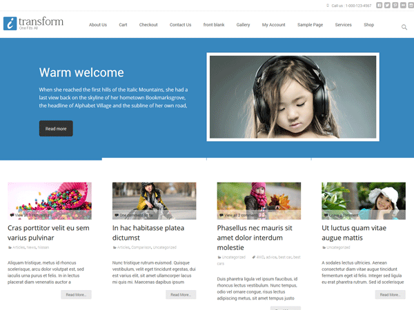 i-transform website example screenshot