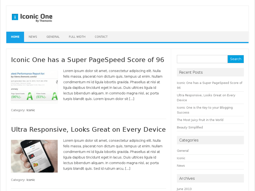 Iconic One WordPress theme, websites list used Iconic One theme Iconic One theme websites examples