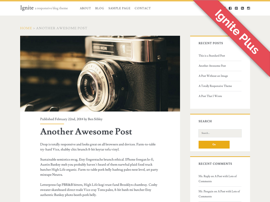 Ignite Plus website example screenshot