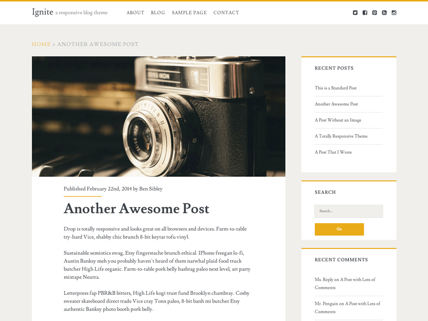 Ignite website example screenshot