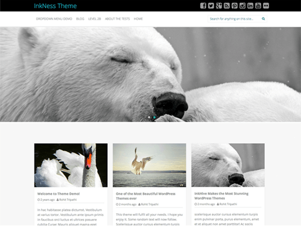 Inkness website example screenshot