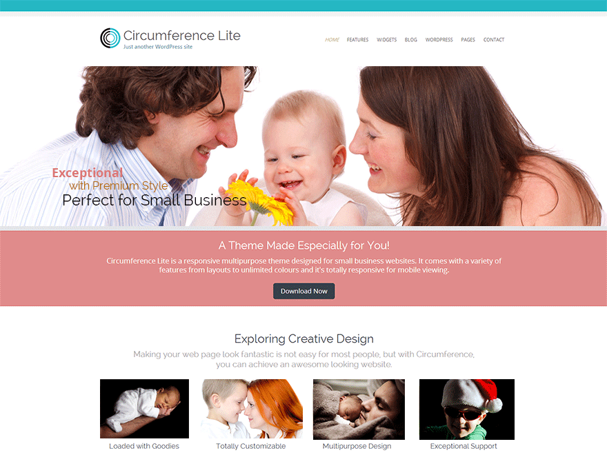 interagire theme websites examples