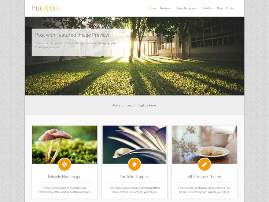 Intuition website example screenshot