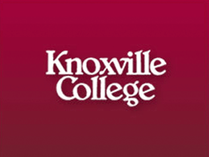 kc theme websites examples