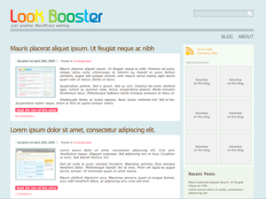 LB - Spring 2009 theme websites examples
