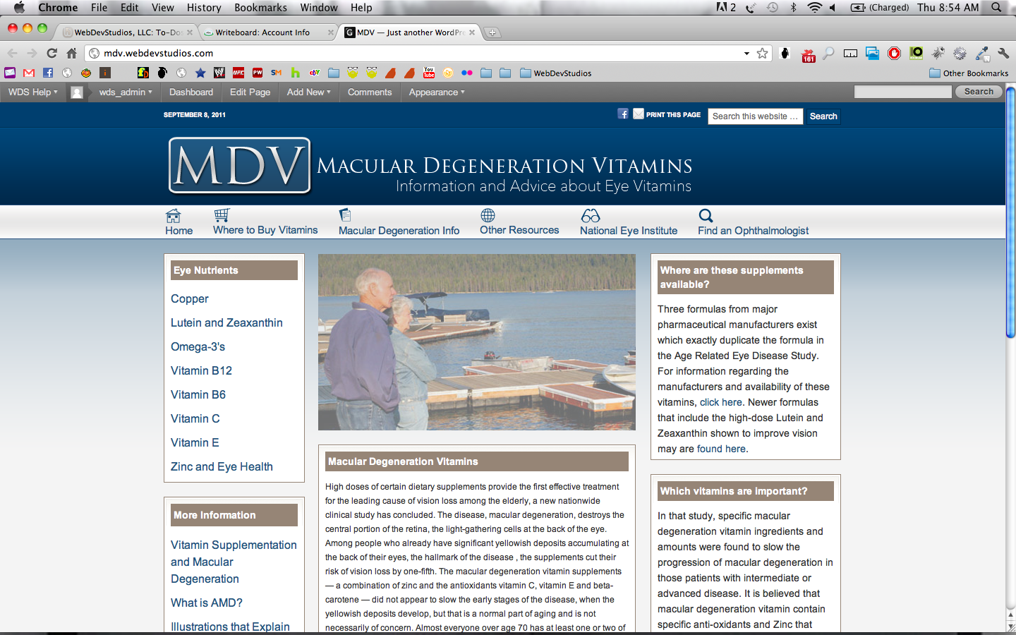 mdv theme websites examples