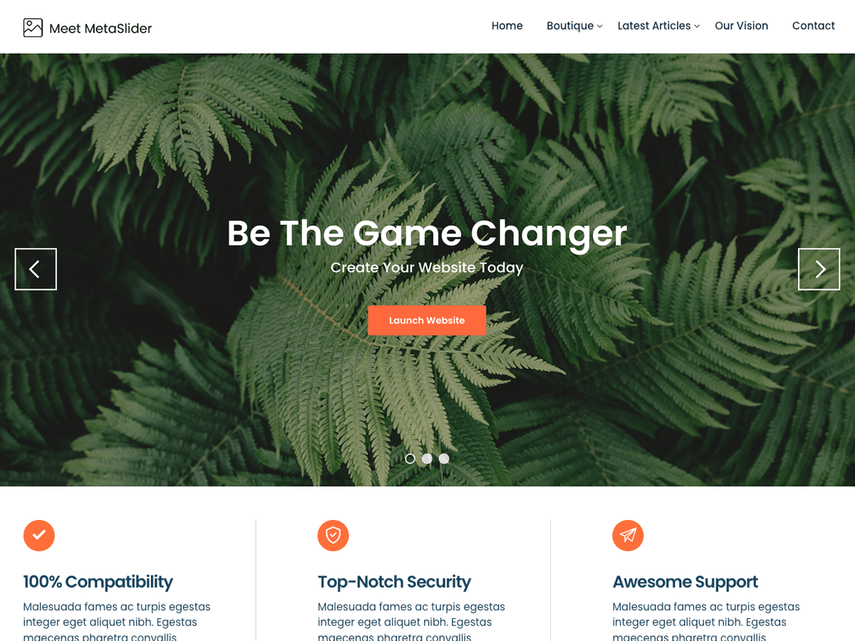 meet-metaslider theme websites examples