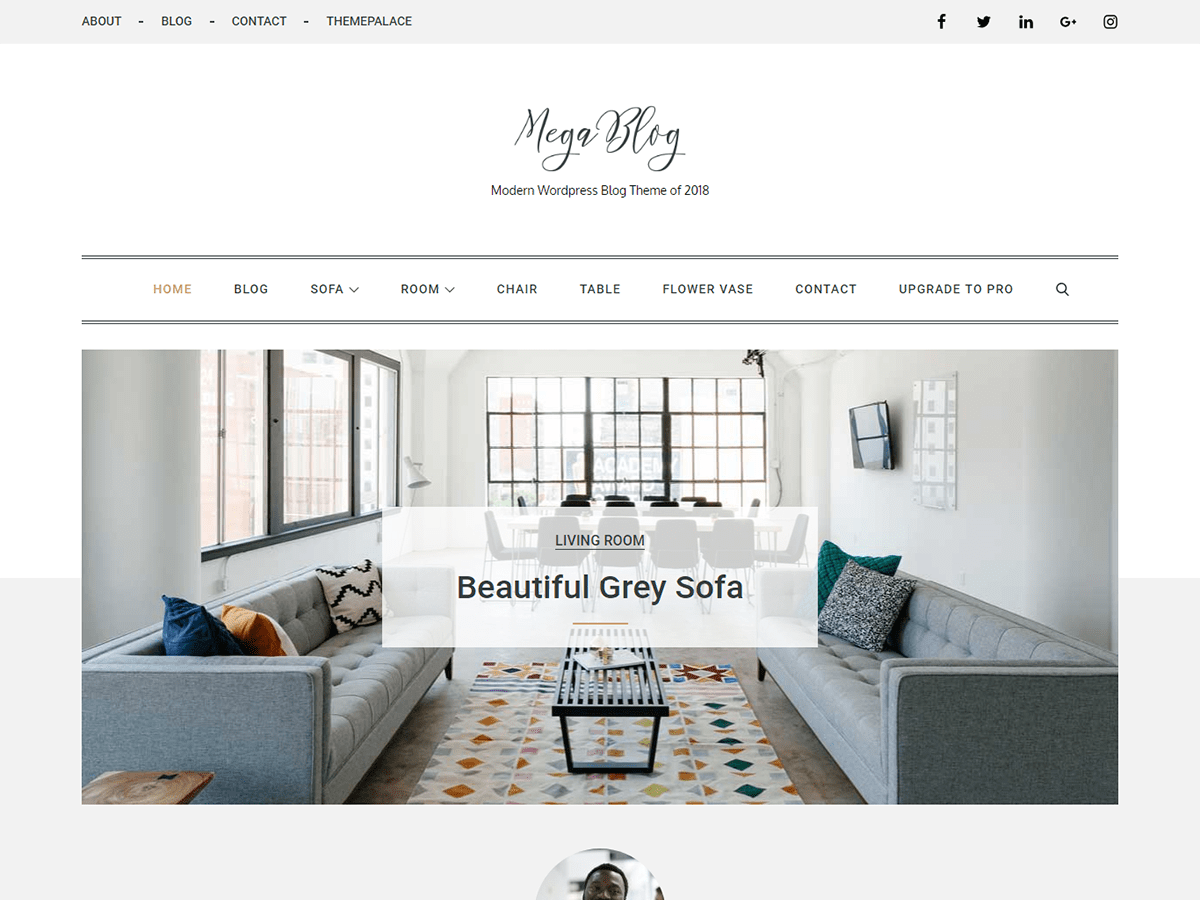 mega-blog theme websites examples
