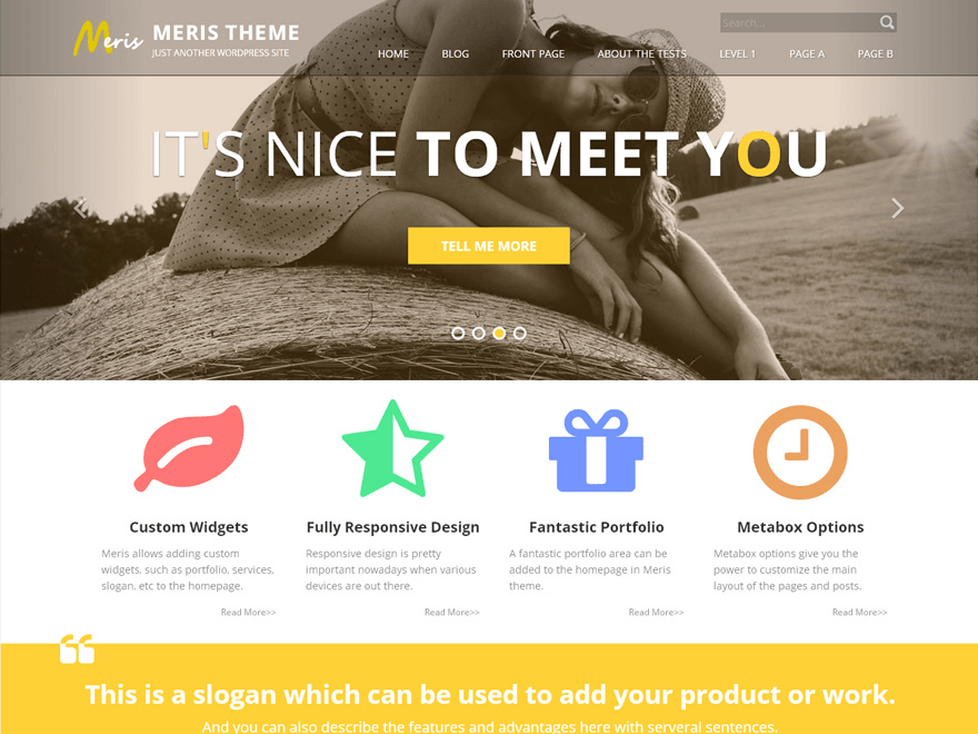Meris website example screenshot