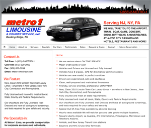 metro1 theme websites examples