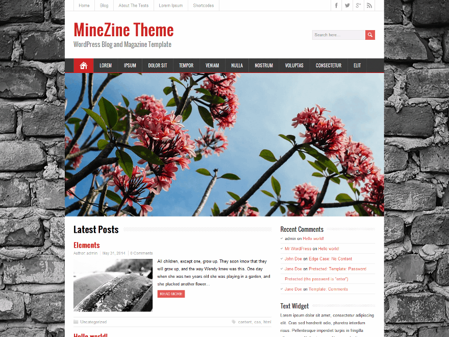 minezine-premium theme websites examples