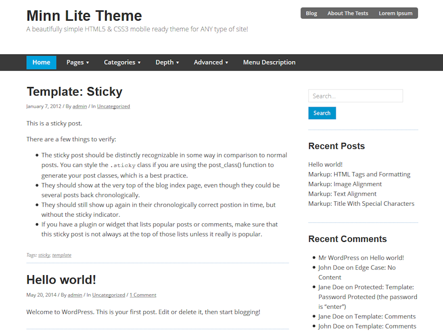 Minn Lite website example screenshot