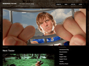 Modularity Lite website example screenshot
