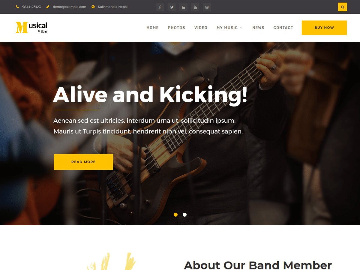 musical-vibe theme websites examples