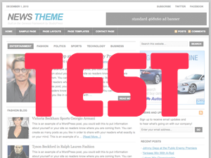 News2 theme websites examples