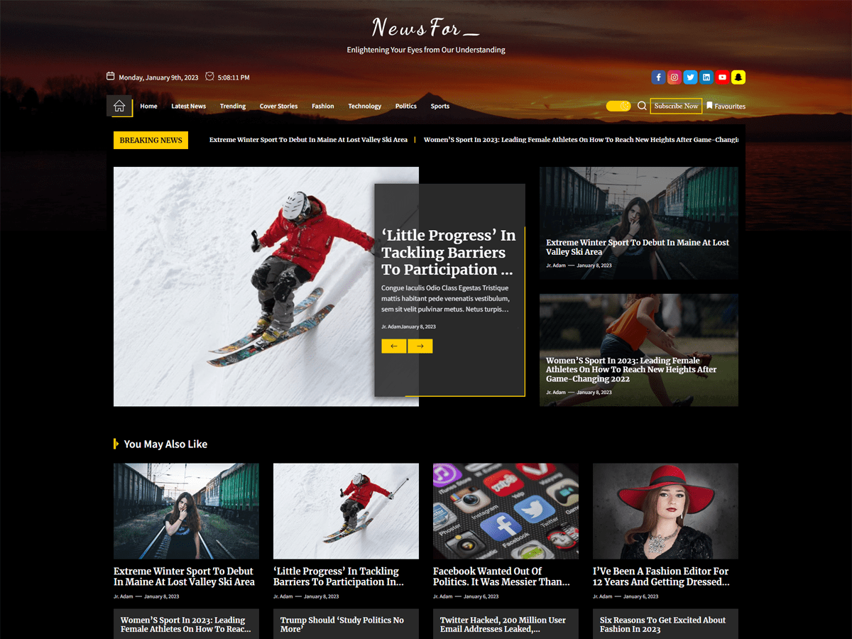 newsfor theme websites examples