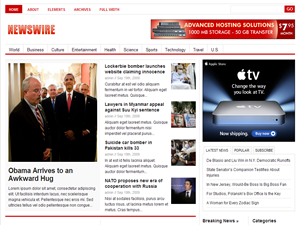 newswire_v1.2 theme websites examples