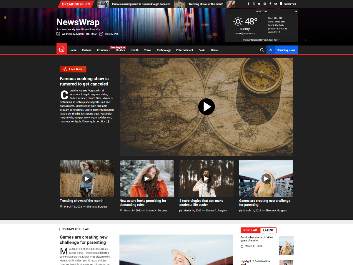 newswrap theme websites examples