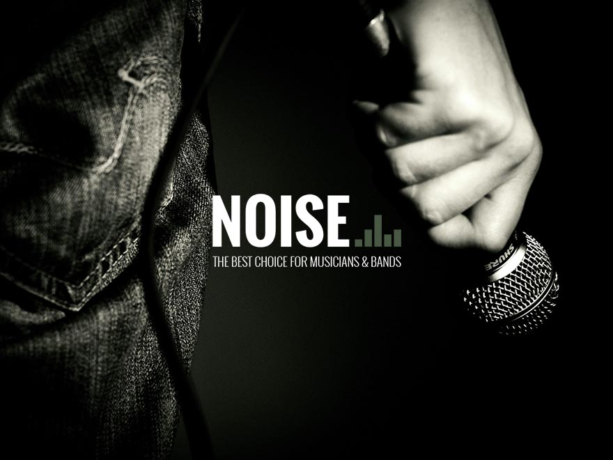 noise-wp theme websites examples
