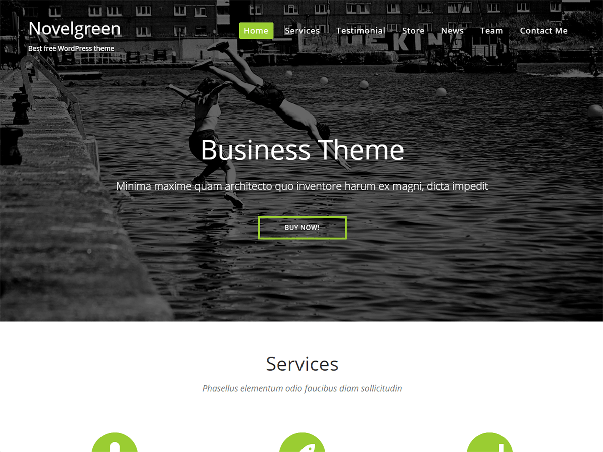 NovelGreen website example screenshot