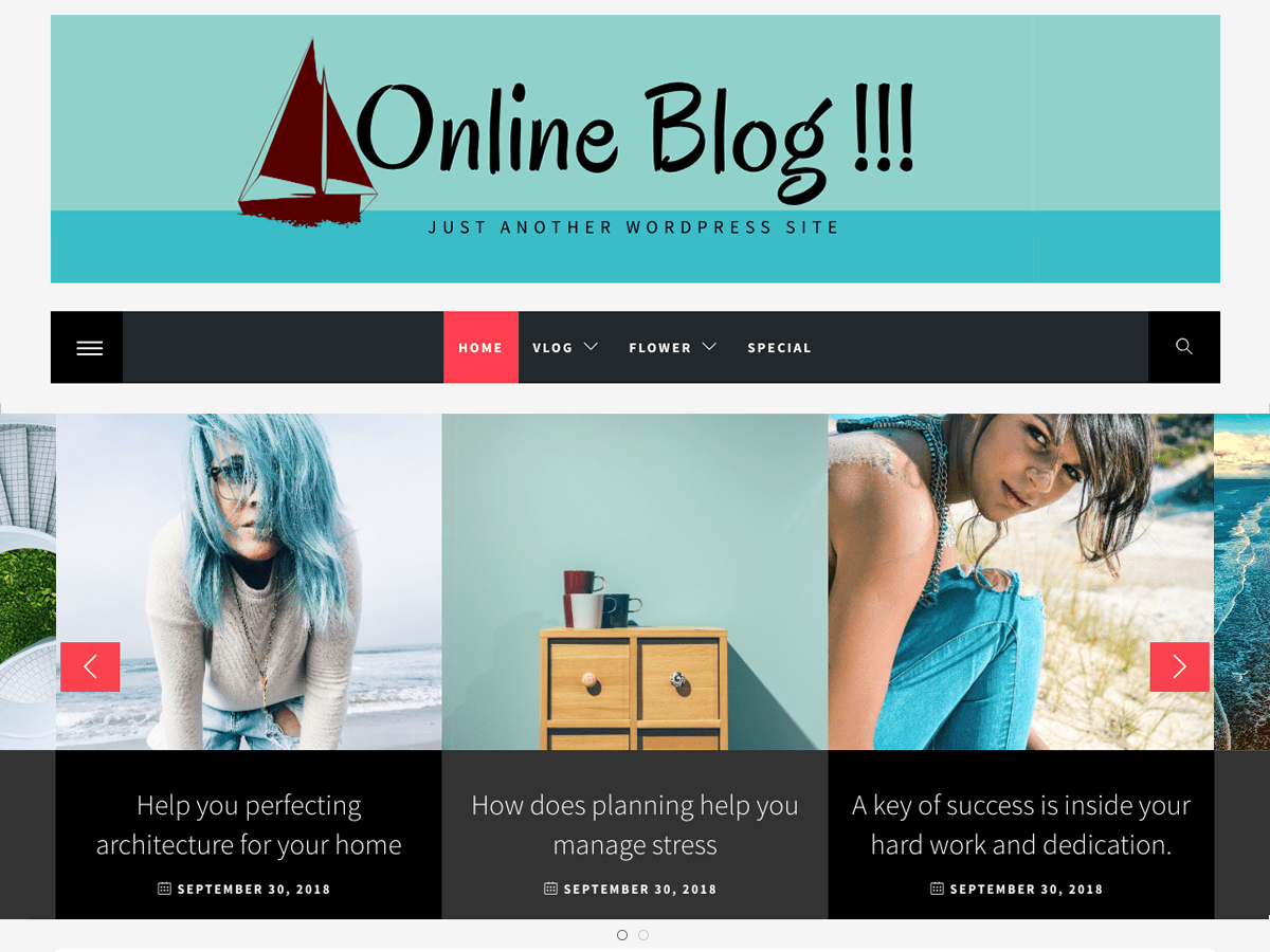 online-blog theme websites examples