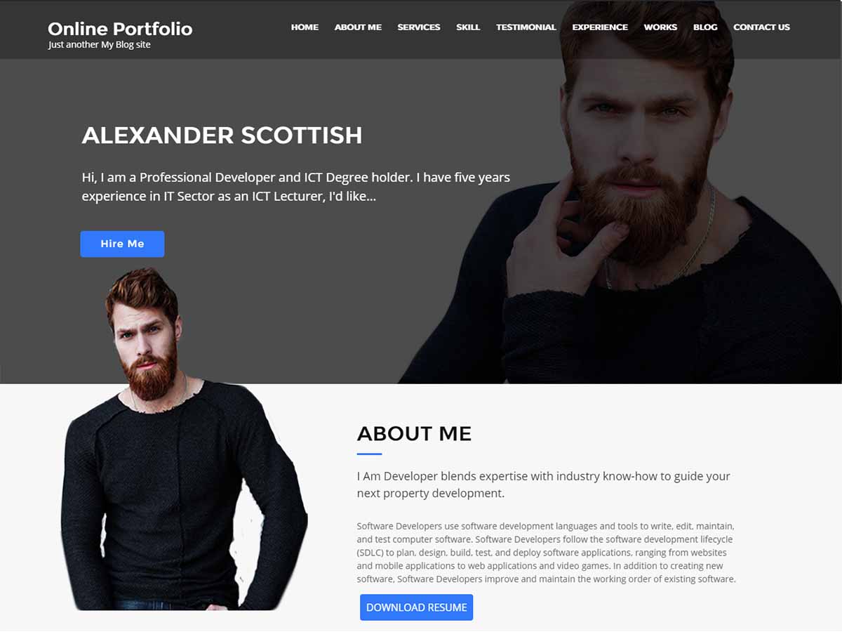 online-portfolio theme websites examples
