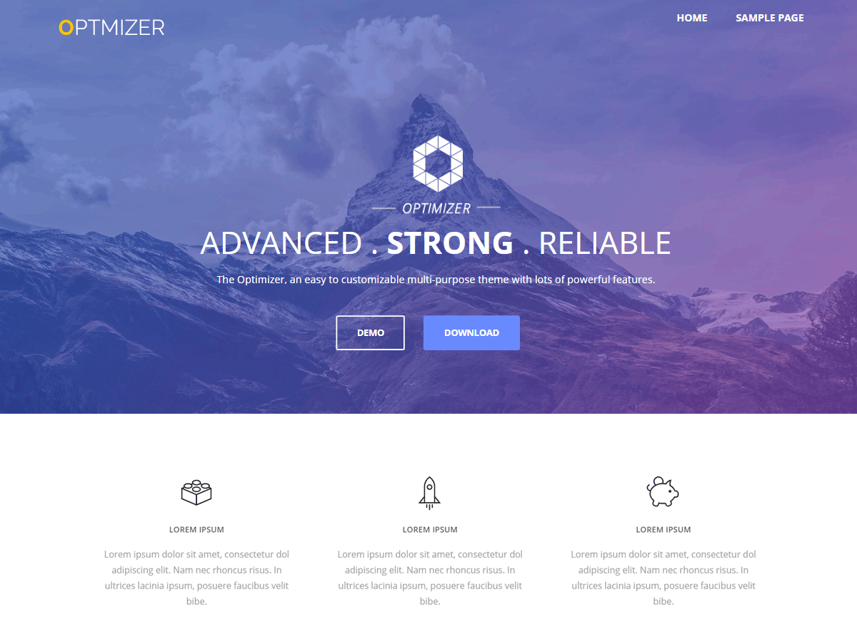 Optimizer website example screenshot