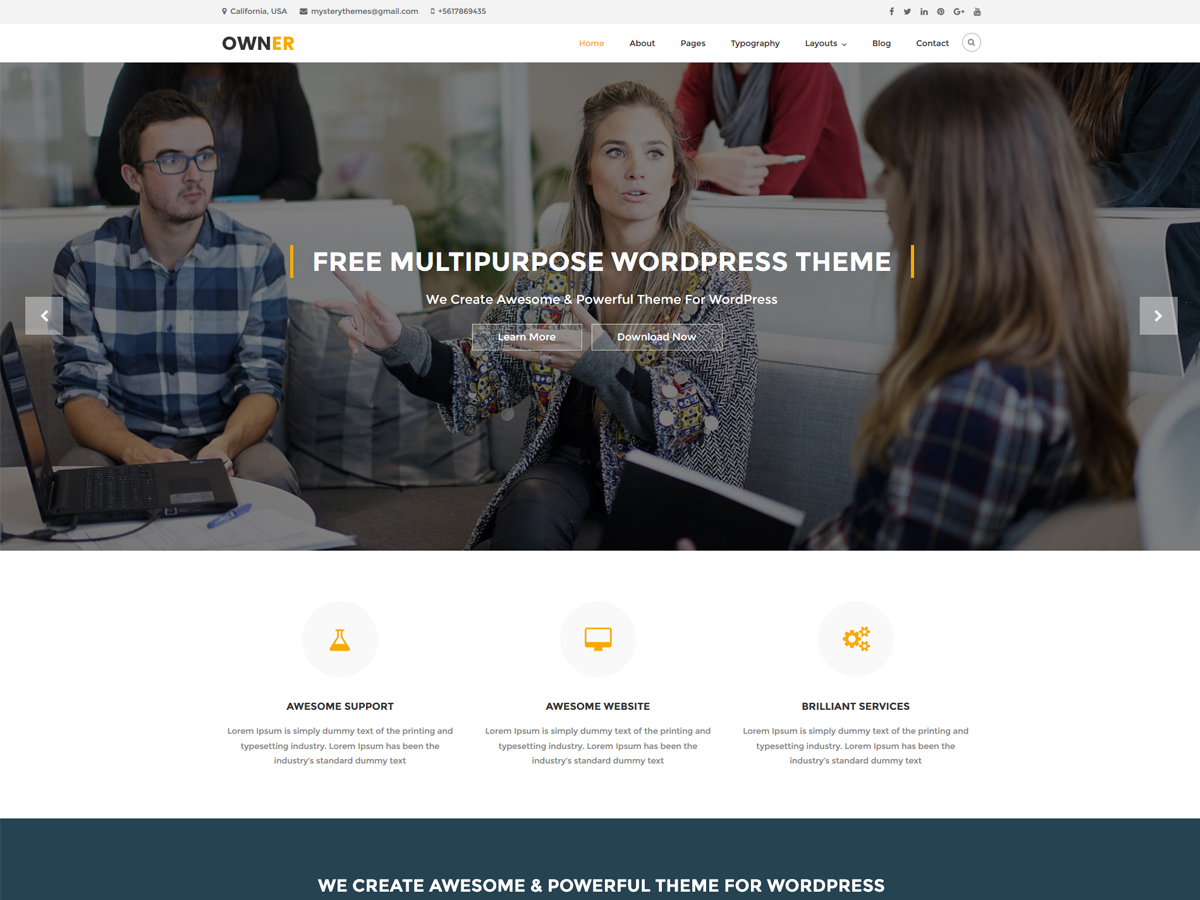owner theme websites examples
