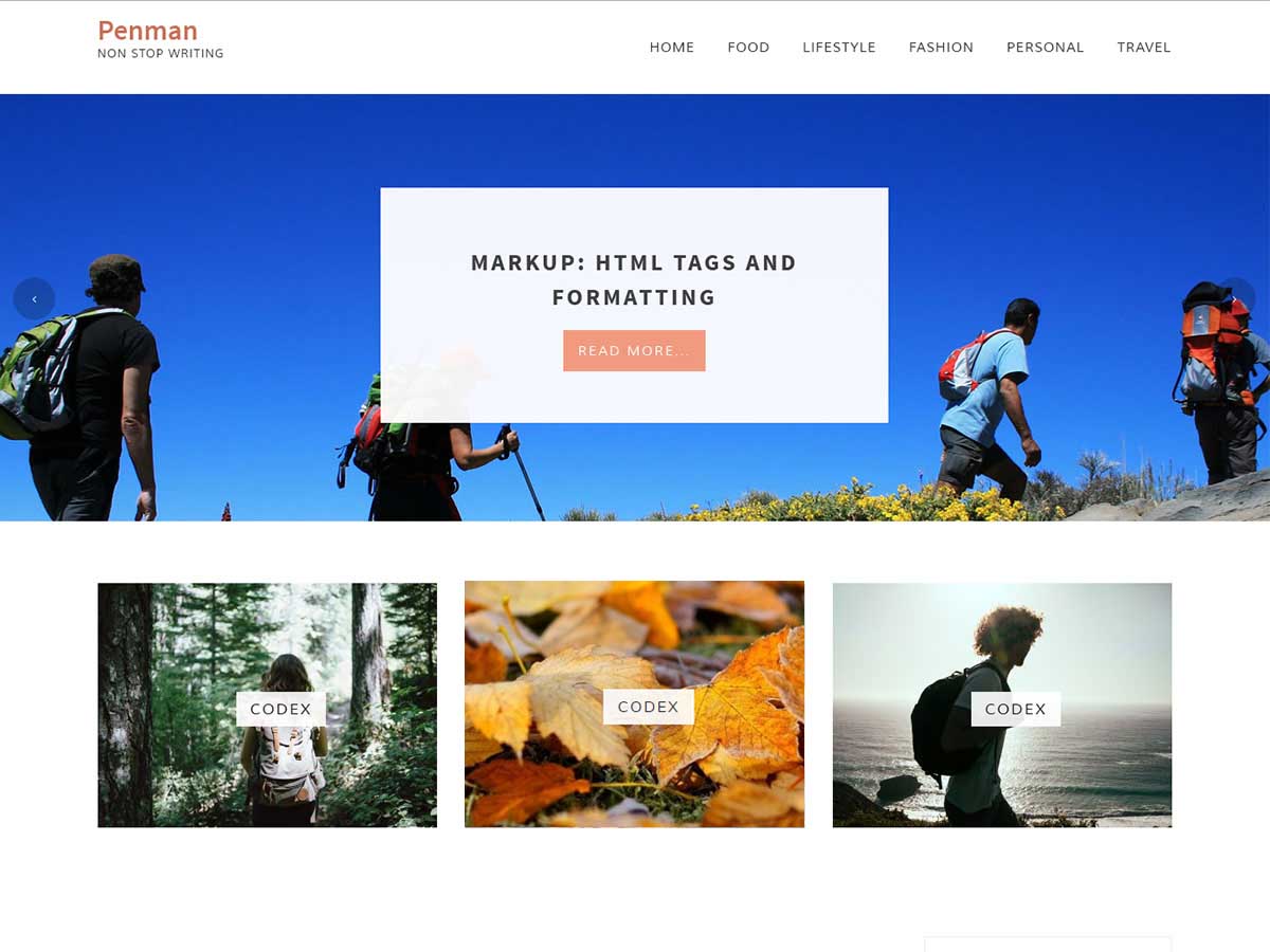 penman theme websites examples