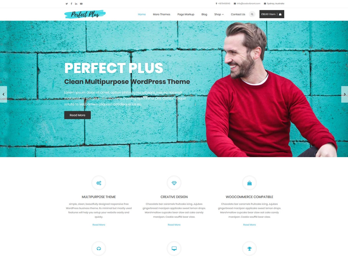 perfect-plus theme websites examples