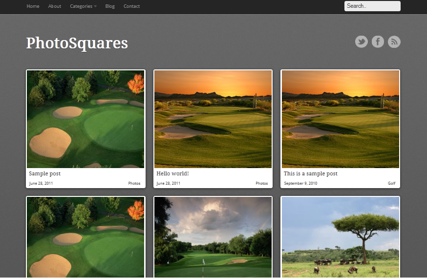 photosquares2 theme websites examples