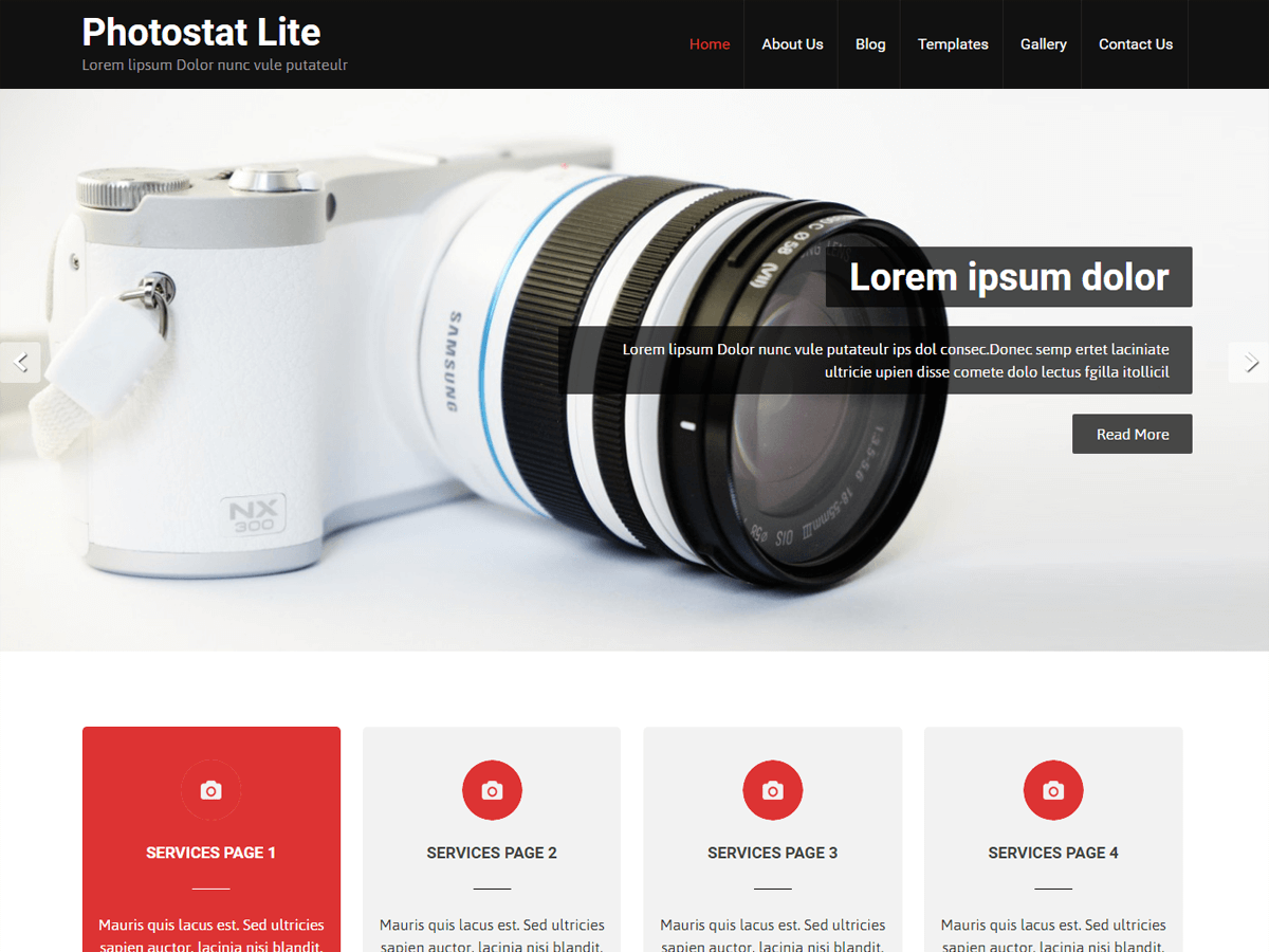 photostat-lite theme websites examples