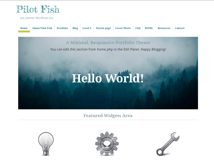 Pilot Fish website example screenshot