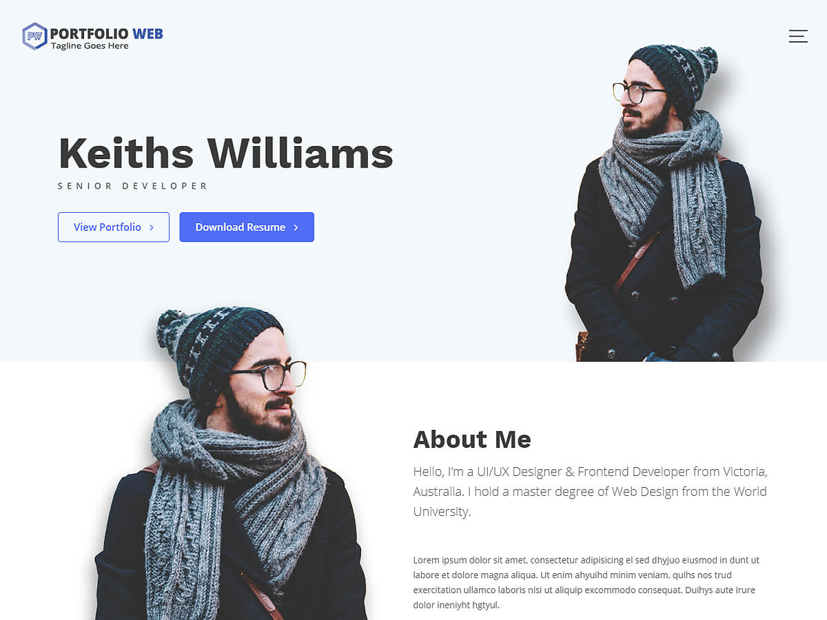 portfolio-web theme websites examples