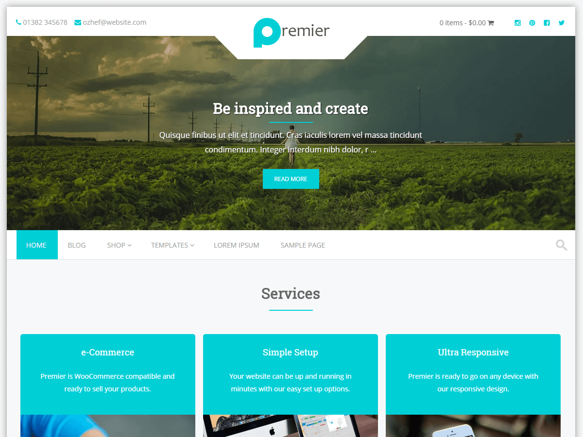 Premier website example screenshot