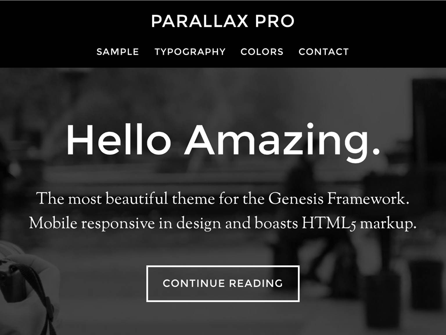 pro theme websites examples