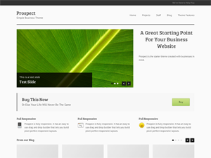 Prospect website example screenshot