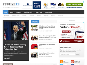 Publisher theme websites examples