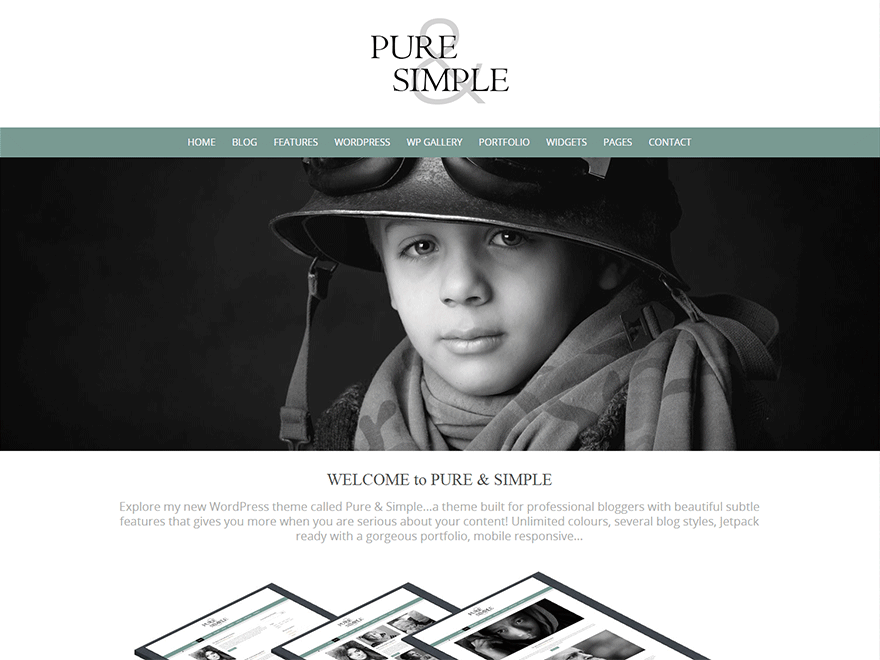 puresimple theme websites examples