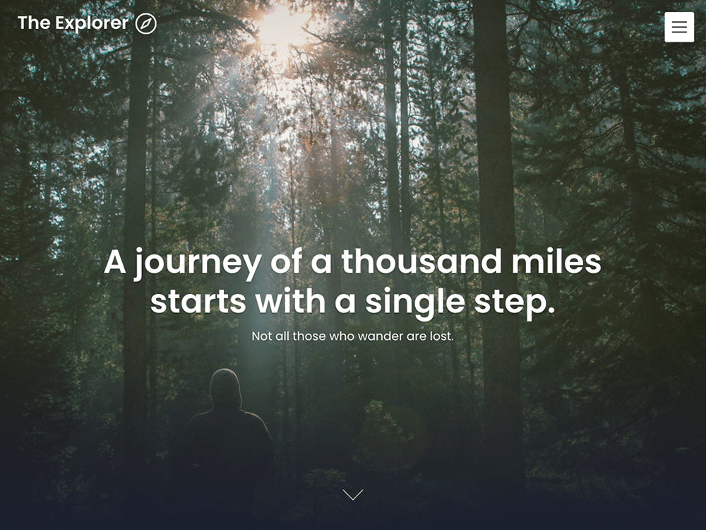 quick-setuply theme websites examples