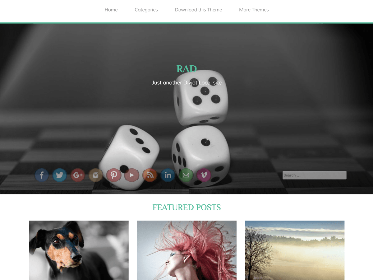 RAD theme websites examples