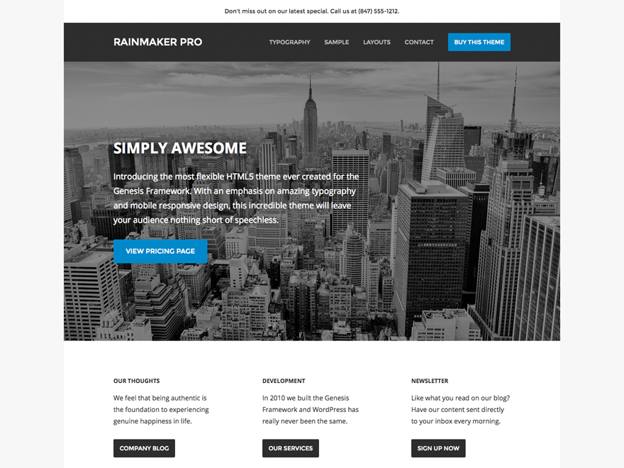 rainmaker-pro theme websites examples